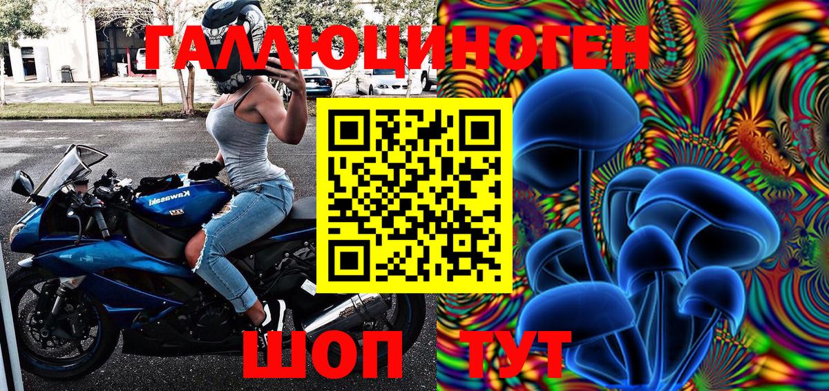 Псилоцибиновые грибы MAGIC MUSHROOMS  Вход с VPN  Киселёвск 